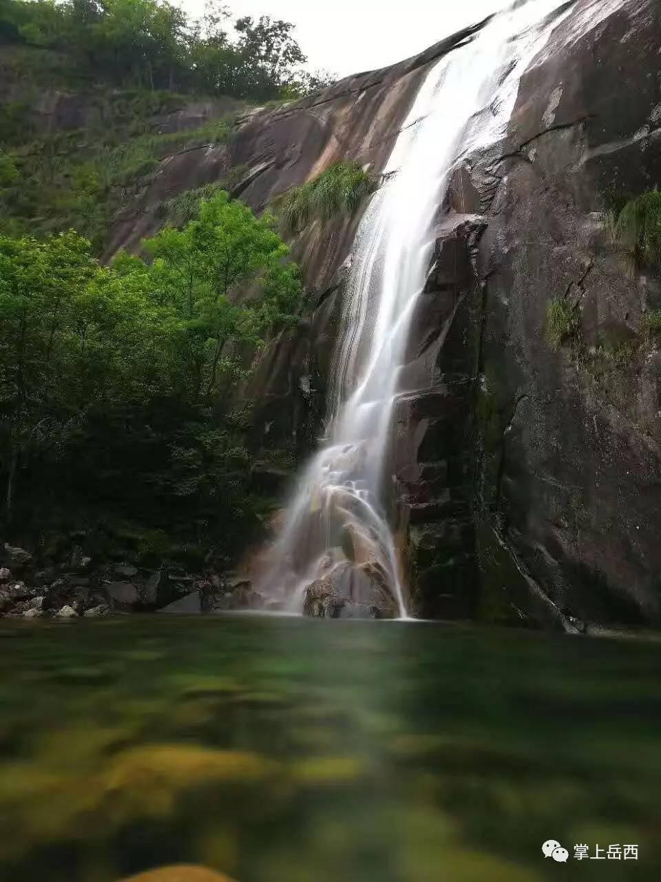 雨后盛放